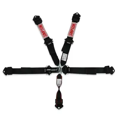Simpson Safety Simpson 2 Dbl Pull Down l l 5-Point Bolt in
