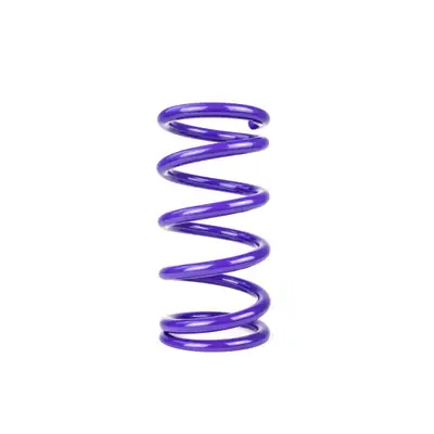 Draco Racing Springs Spring Conventional Fr ont 9.500in Length 5.0