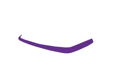 Dominator Race Body Dominator Late Model Valance Cover Purple