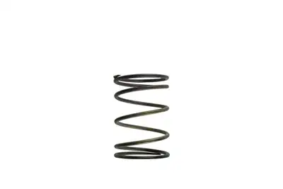 TurboSmart USA Turbosmart - TS-0502-2003 - Turbocharger Wastegate Spring