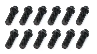 Schoenfeld Headers Header Bolt 3/8-16 x 1in 5/16 Head 12 Pack