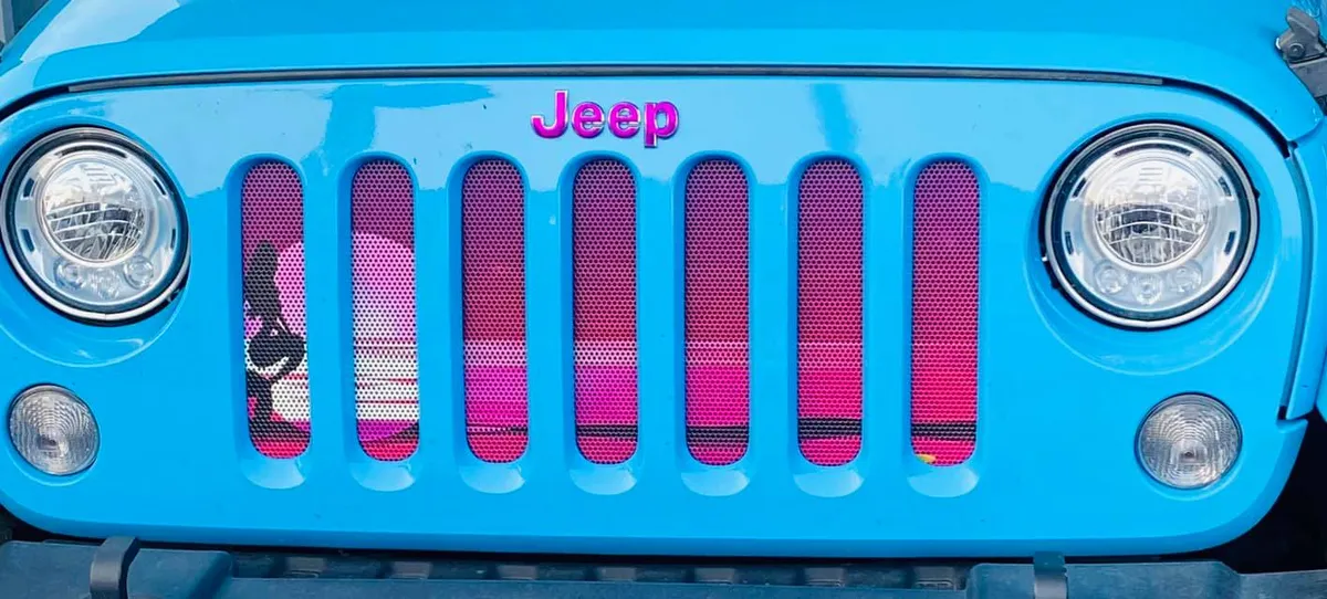 Endless Summer Collection - Mermaid Grille Inserts product image