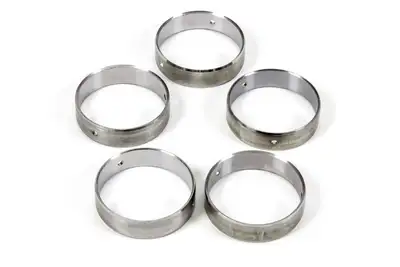 MAHLE Cam Bearings Ls6