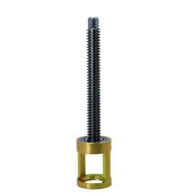 LSM Racing Products Lead Screw Assembly w/ Small Dia. Spring Cage
