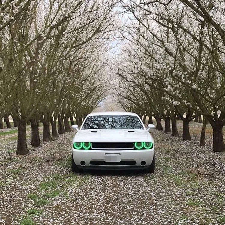 ORACLE Lighting 2008-2014 Dodge Challenger LED Headlight Halo Kit - Standard Mount product image