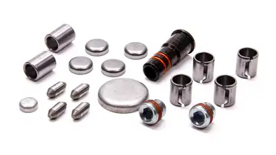 Ford Performance Parts Ford Performance - 4.6L Aluminum Block Plug And Dowel Kit - M-6026-A46
