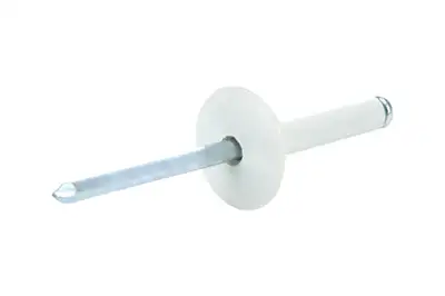 Allstar Performance Lg Hd Rivet White Alum 250pk