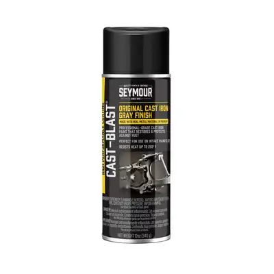 Seymour Cast Blast Paint Spray Can 12oz