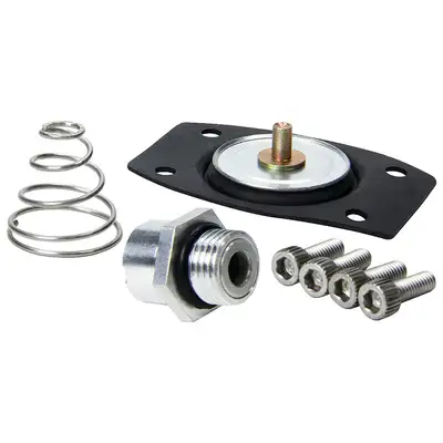 Allstar Performance Rebuild Kit for ALL40290