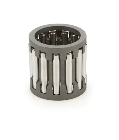 Bert Transmission Cage Needle Bearing