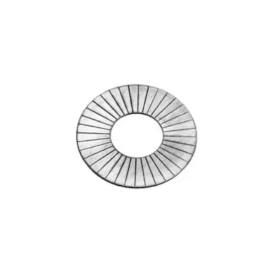 Manley Manley 03273-50 Manley Valve Spring Shim, SHIMS-1.625 X .030