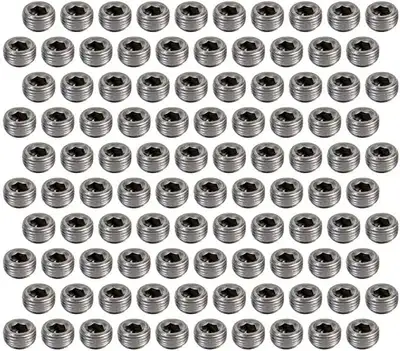 Pioneer 1/2 Pipe Plugs 100pk Hex Socket