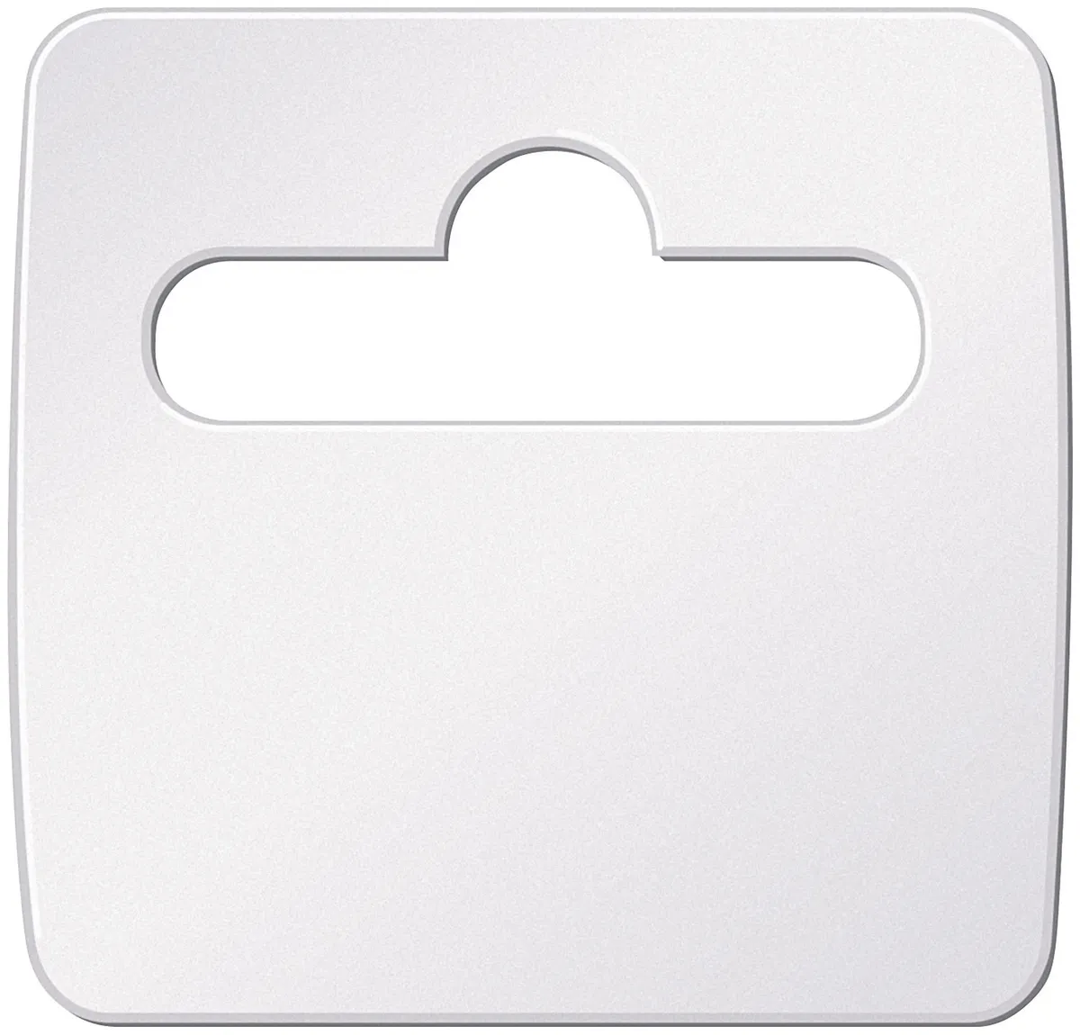 Allstar Performance Product Fix-It Tags 50pk