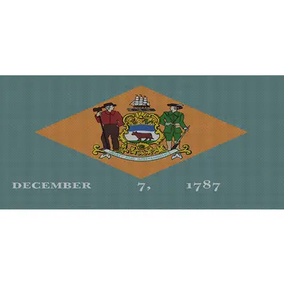 Under The Sun Inserts Delaware State Flag