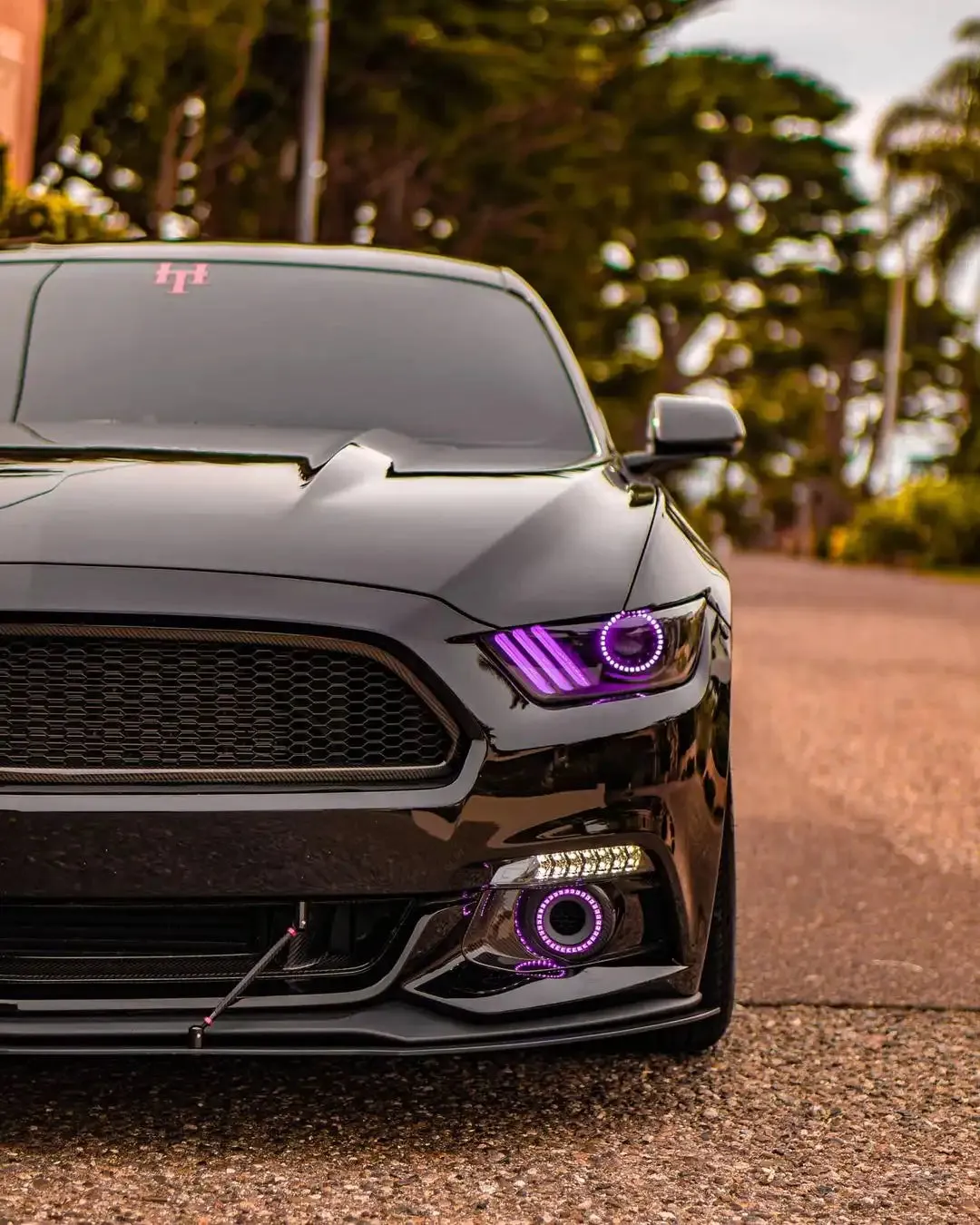 ORACLE Lighting 2015-2017 Ford Mustang V6/GT/Shelby ColorSHIFT DRL Upgrade w/Halo Kit product image