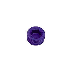 XRP 1in Pipe Plug (Allen)