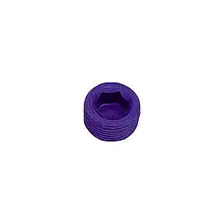 XRP 1in Pipe Plug (Allen)