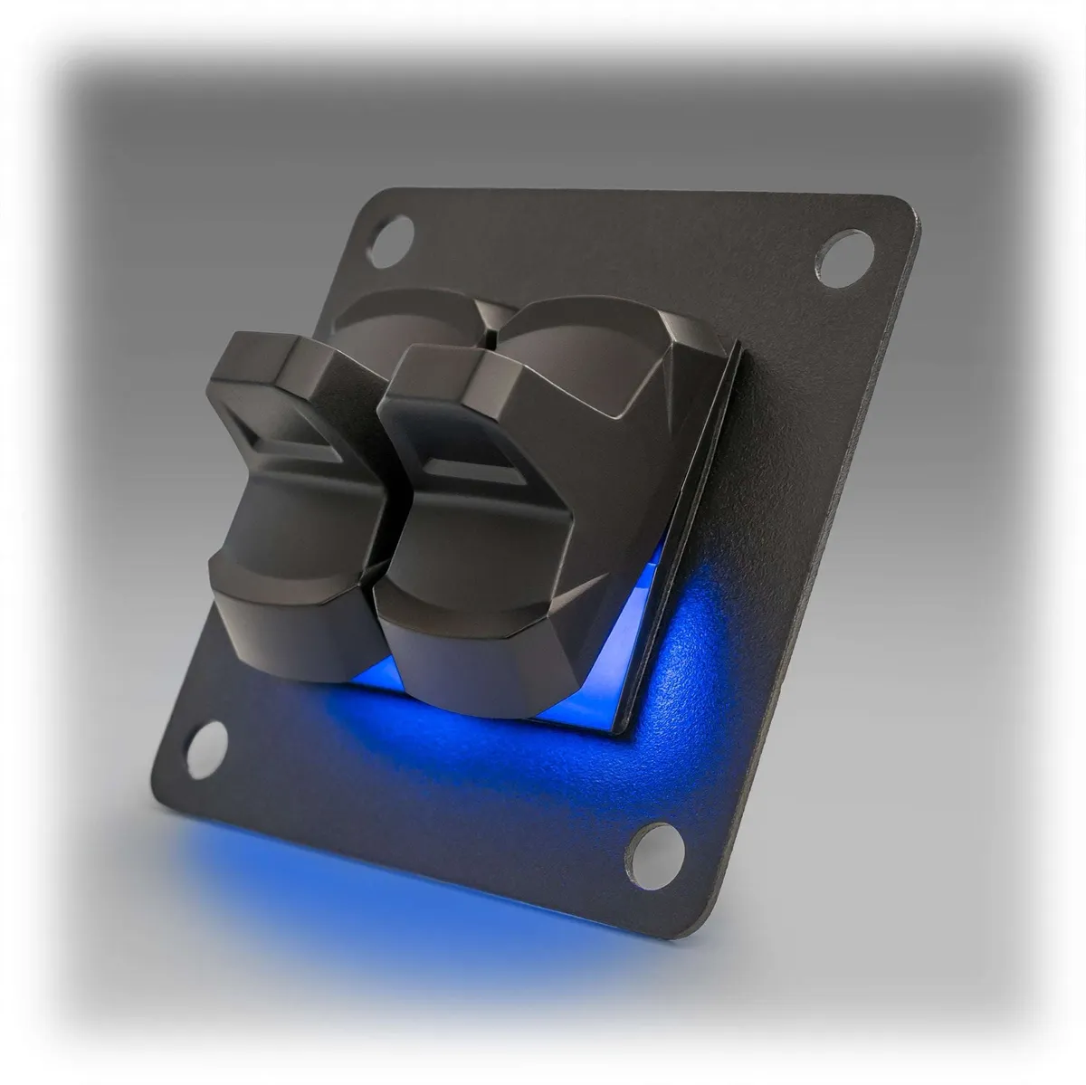 Turn Offroad Molle Loc Carling Switch Plate (Double) MP-CARLING2 product image