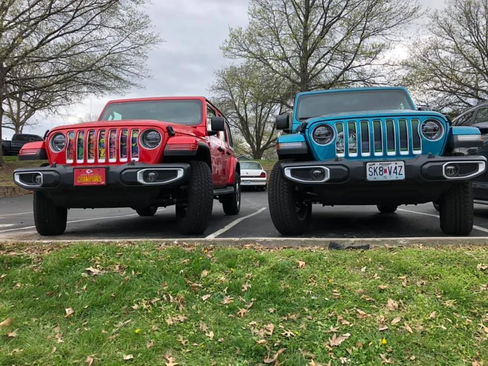 Endless Summer Collection - Palm Tree Grille Inserts product image