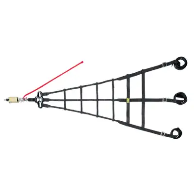 OMP Racing INC Racing Cage Net 3 Point Black