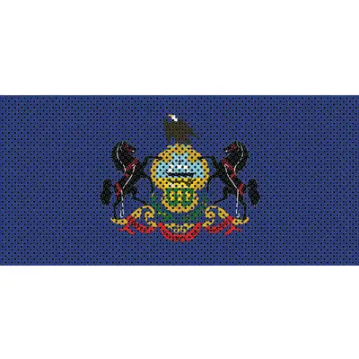 Under The Sun Inserts Pennsylvania State Flag
