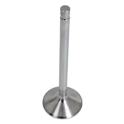 Trick Flow 1.760 Dia Exhaust Valve 11/32 5.410 OAL - BBM