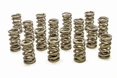 PAC Racing Springs 1.324 Dual Valve Springs - RPM Series (16)