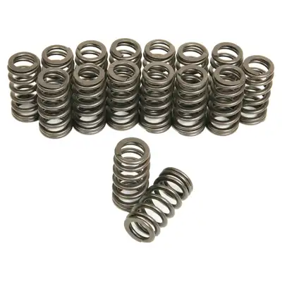 Trick Flow 1.055 Beehive Valve Spring Set
