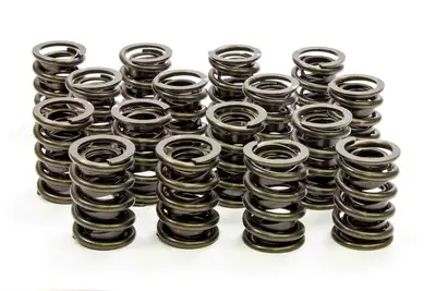 Isky Dual Valve Springs w/Damper - LS1