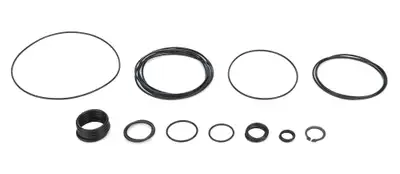 Barnes Systems O-Ring Kit For 9117-4CR 1.375 Gear