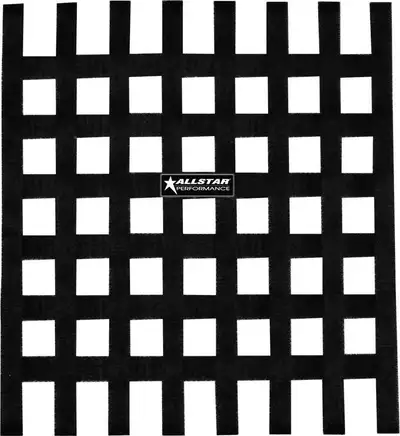 Allstar Performance Window Net Loop Style 18 x 18 SFI Black