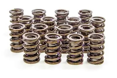 Isky 1.530in Valve Springs