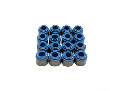 Brian Tooley Racing Valve Seal Kit Gen V LT1 .552in ID - .342in Stem