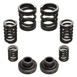 Pacbrake Premium Spring Kit 12 Springs For 94-98 Dodge Ram 25003500 Cummins 12 Valve Engine With a P7100 Injection Pump Pacbrake