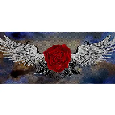 Under The Sun Inserts Angel Wings
