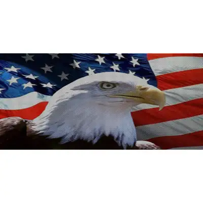 Under The Sun Inserts Soaring High