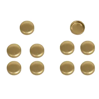 Pioneer Brass Expansion Plugs 10pk 1.000 OD .281 Depth