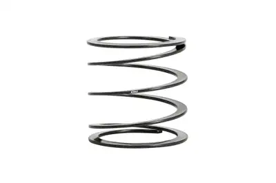 Eibach Springs Individual Coilover Race Spring Middle 60mm Inside Diameter Black