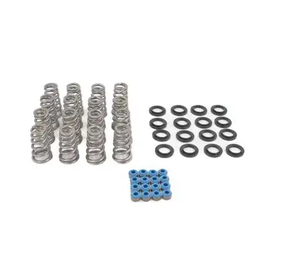 Brian Tooley Racing GEN 3 Hemi VVT Lift Spring .650in 09-Up