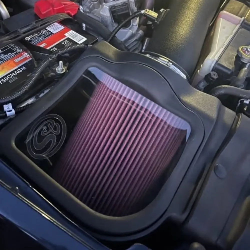 17-19 Ford F250 F350 V8-6.7L Powerstroke Dry Extendable Filter product image