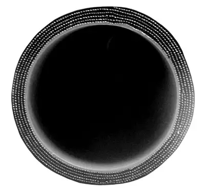 Pacific Performance Engineering 2.25 Inch X 36 Inch L 6MM 5-Ply Silicone Hose PPE Diesel