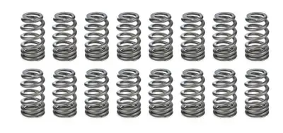 PAC Racing Springs 1.445 Valve Springs - Ovate Beehive (16)