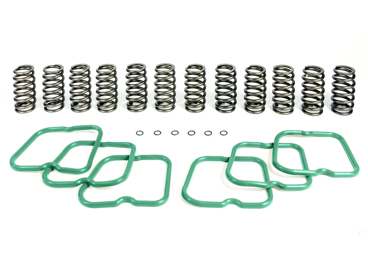 Basic Spring Kit 12 Springs For 94-98 Dodge Ram 25003500 Cummins 12 Valve Engine Pacbrake product image