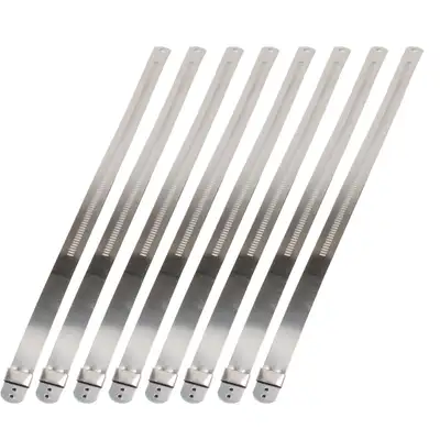 Design Engineering DEI 10211 Stainless-Steel Positive Locking Ties 12mm x 9 (8-Pack) 010211