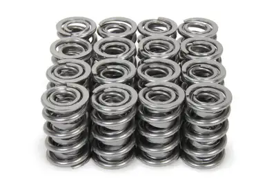 Isky 1.600 Dual RAD Valve Springs