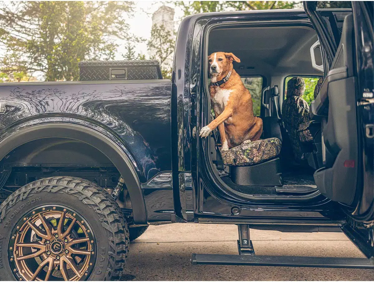 0216 F250/F350/F450/0203 Excursion(Supercab Req Cutting) Powerstep W/Light Kit product image
