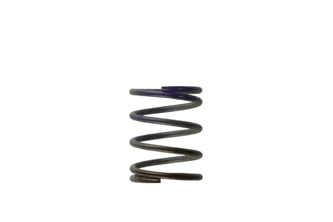 TurboSmart USA 2011 WG384045 7PSI Middle Spring BrownPurple Automotive type Universal