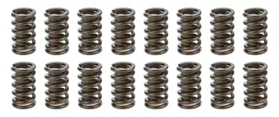 PAC Racing Springs 1.260 Valve Springs w/ Damper (16)