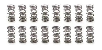 PAC Racing Springs 1.106 Dual Valve Springs 1300 Series (16)
