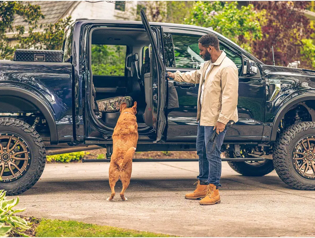 0216 F250/F350/F450/0203 Excursion(Supercab Req Cutting) Powerstep W/Light Kit product image